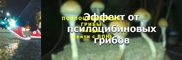 прущий лед Строитель