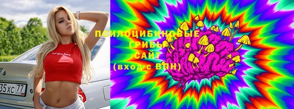 Альфа ПВП Беломорск