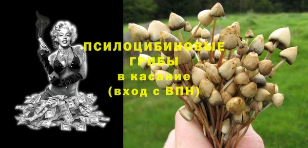 гидра Баксан