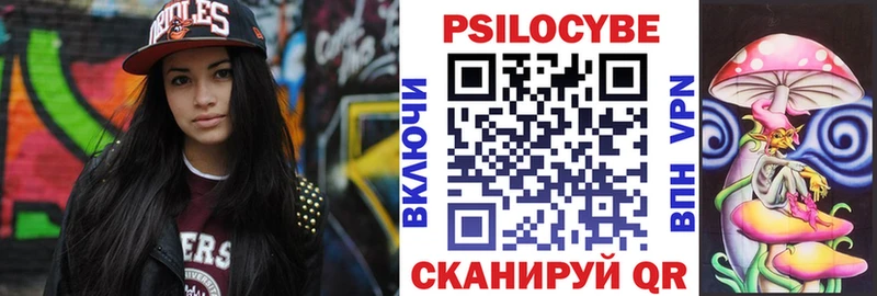 Псилоцибиновые грибы Psilocybe  Чехов 