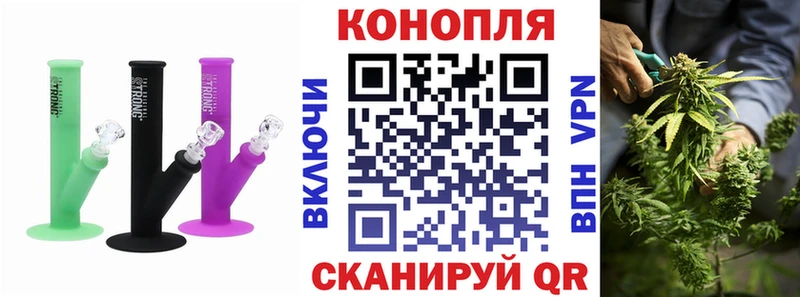 как найти   Чехов  МАРИХУАНА семена 
